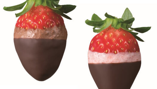 ゴディバ、バレンタイン限定『ストロベリーディップ』期間限定販売 「とちおとめ」をムースとチョコでコーティング